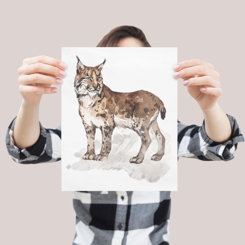 Wall Art Watercolor Lynx Bobcat Illustration Print Poster Unframed - Picture 10 of 17